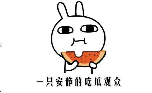 今日吃瓜网红是谁啊,揭秘网络红人的崛起之路