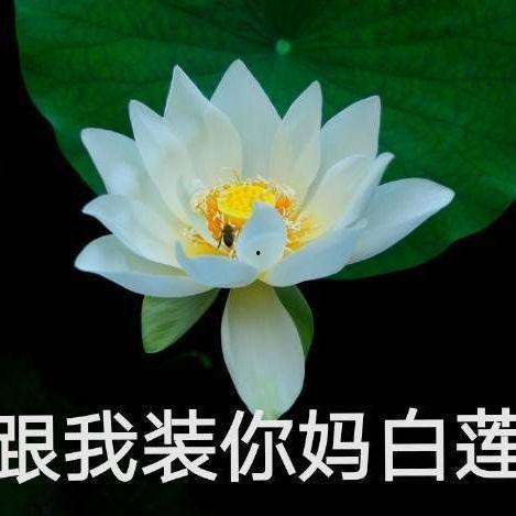 网红吃瓜搞笑图片头像,带你领略网络幽默风潮