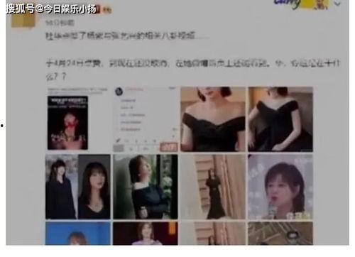 红楼吃瓜网曝在线,揭秘红楼梦背后的惊人真相