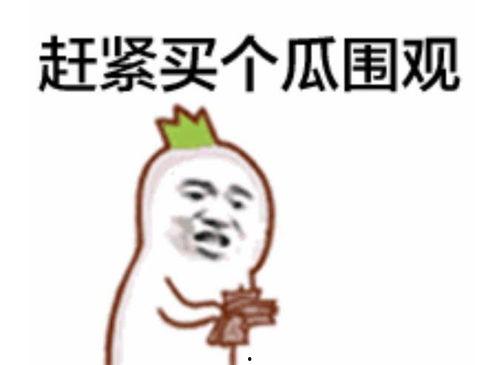 网红集结吃瓜群众违法,吃瓜群众违法现象引发社会关注