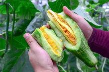 那些吃瓜的网红有哪些,揭秘热门话题背后的网红势力