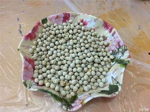 51吃瓜网51吃瓜,揭秘娱乐圈最新热点，带你领略吃瓜乐趣