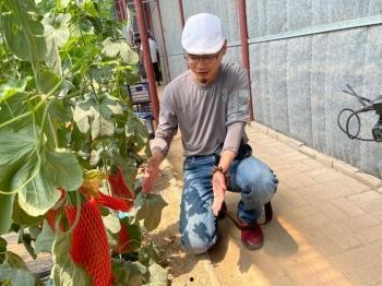 学校网红吃瓜打卡地,揭秘学校里的“吃瓜”热点”