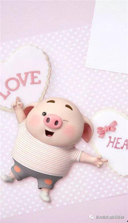 吃瓜网红小胖猪图片,网红美食新风尚