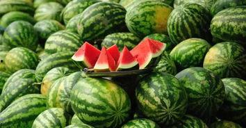 天津网红吃瓜事件视频,揭秘网络舆论的风暴中心