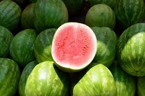 网红吃瓜合集分享,盘点热门事件背后的精彩瞬间