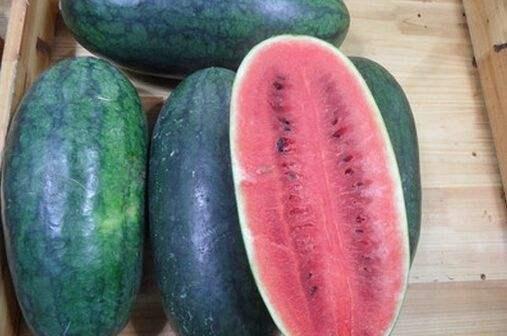 即墨网红吃瓜事件视频最新,真相揭秘，网络舆论的漩涡与反思