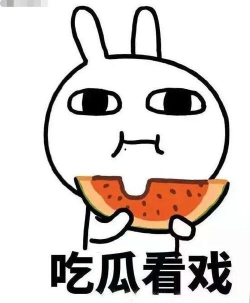 六点半吃瓜网,揭秘娱乐圈最新热点，带你畅游八卦世界