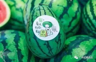 吃瓜网社会瓜网红瓜,揭秘社会瓜网红瓜，带你领略热点事件背后的真相