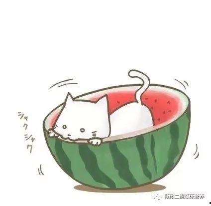 网课吃瓜搞笑图片卡通版,卡通版吃瓜图解欢乐时光