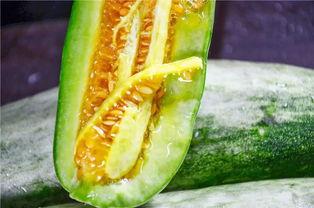 网红上吃瓜,娱乐圈幕后真相曝光