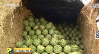 世界上最大的吃瓜网,揭秘网络舆论风向标