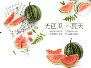 潍坊吃瓜网红有哪些人,揭秘网络红人的多彩人生