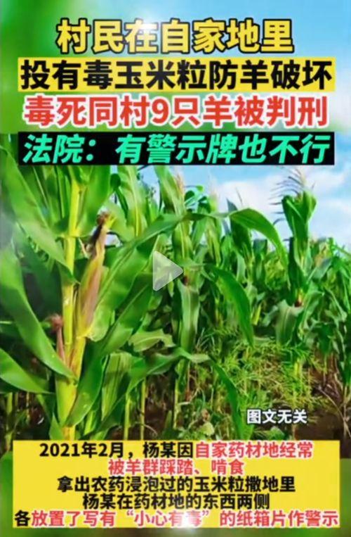 吃瓜网五一,吃瓜网带你领略全民盛宴