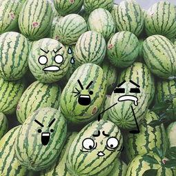 福利免费吃瓜网,揭秘网络娱乐新潮流