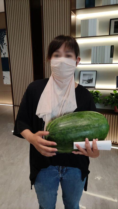 网红小雨吃大瓜图片,揭秘娱乐圈幕后真相