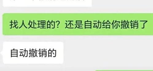 抖音60万网红吃瓜,揭秘吃瓜界的狂欢盛宴！