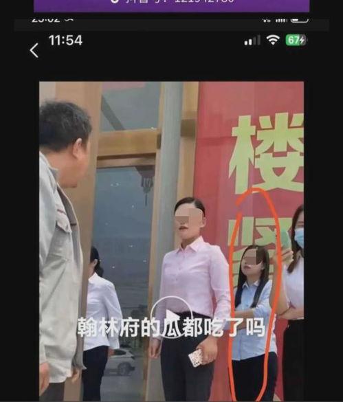 吃瓜网 翰林府女销售,揭秘豪宅销售背后的故事
