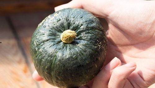 吃瓜超级瘦的一个网红,揭秘网红吃瓜减肥秘籍