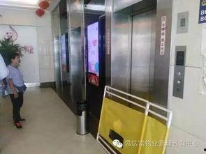 电梯视频网红吃瓜,揭秘娱乐圈幕后真相