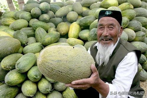 新疆男网红吃瓜,揭秘瓜界风云人物