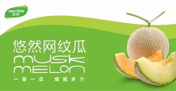 中华吃瓜协会官网,品味瓜果文化，传承民俗风情