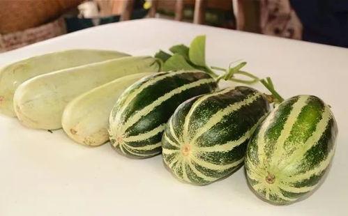 网红吃瓜.com.,揭秘娱乐圈幕后故事