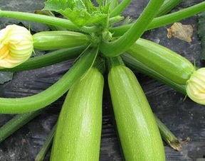 吃瓜网每日大瓜首页,盘点娱乐圈最新热点事件