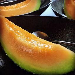 吃瓜韩网,吃瓜群众如何成为娱乐圈焦点