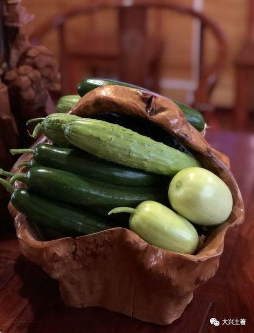 吃瓜吃火的网红有哪些,揭秘网络红人的“火”与“热”