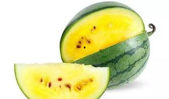 网红的吃瓜视频都在哪里,热门平台大揭秘