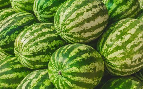 网红的吃瓜视频都在哪里,热门平台大揭秘