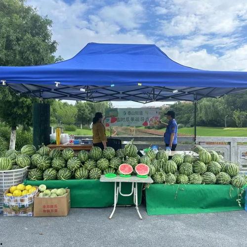 51吃瓜群众网入口