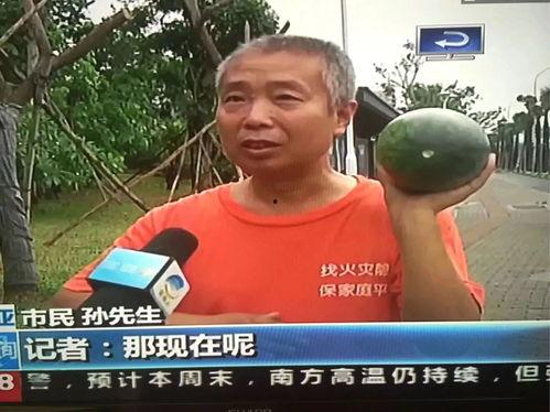 网爆吃瓜热门事件,揭秘吃瓜群众的狂欢盛宴