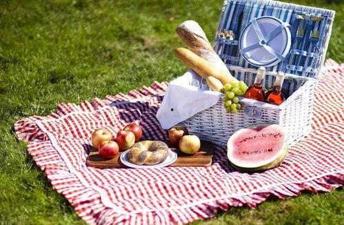 野餐兔网红吃瓜视频大全,笑料百出欢乐无限