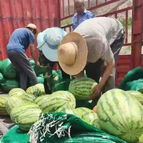 社会吃瓜网,揭秘娱乐圈幕后故事，带你领略真实娱乐圈