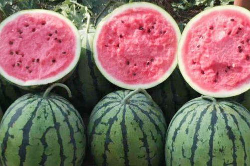 网红吃瓜在哪买的东西啊,揭秘热门网红购买美食的神秘渠道