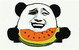 吃瓜网什么意思