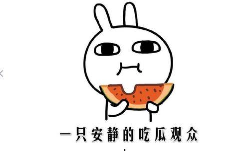 吃瓜网什么意思