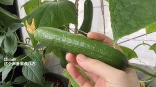 吃瓜官网更新,揭秘娱乐圈新鲜事，带你领略幕后风云