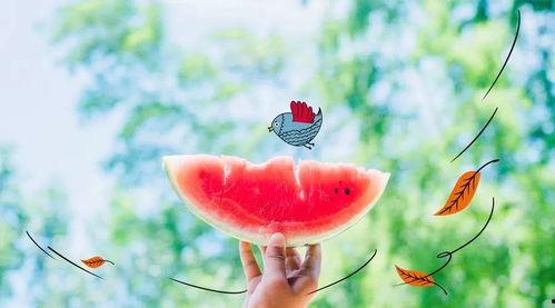 吃瓜网红拍照文案夏天,瓜影斑斓——网红夏日拍照文案大盘点