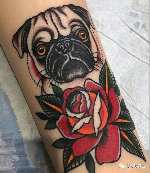 纹身网红吃瓜视频素材,揭秘娱乐圈幕后故事