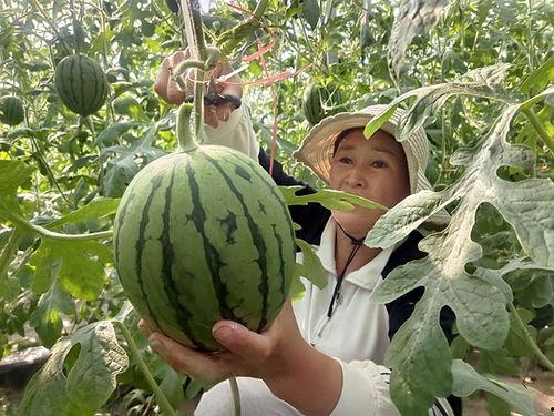 济南小网红吃瓜事件,揭秘网络舆论的风暴与真相