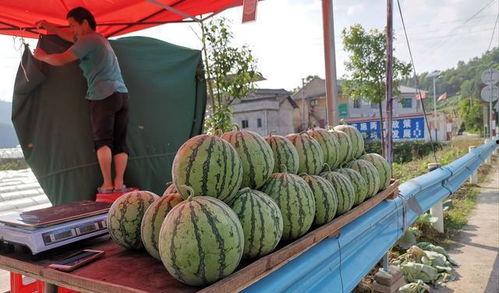 保定网红王吉吃瓜事件,揭秘网络舆论的风云变幻