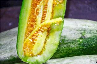 网红吃的什么瓜好吃呢,盘点那些让人欲罢不能的美食瓜