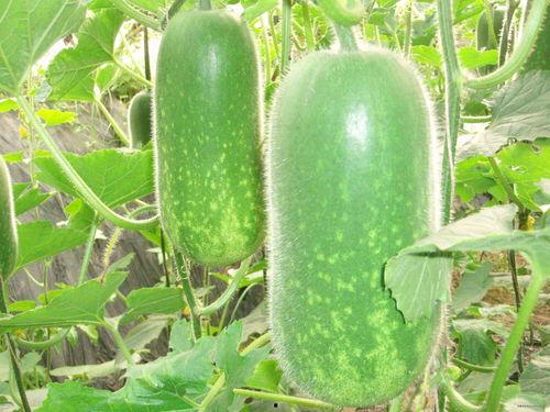 718吃瓜网sx,揭秘娱乐圈最新热点事件