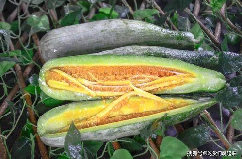 网红吃瓜网站免费,免费畅享娱乐圈最新资讯，带你领略网络娱乐新风尚