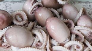 网红八爪鱼事件吃瓜微博,网红风波背后的真相与反思