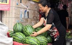 东北网红吃瓜群众视频大全,趣味横生的短视频盛宴