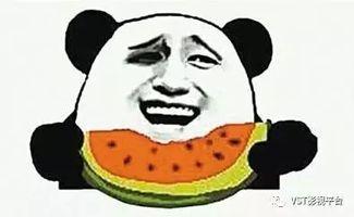 东北网红吃瓜群众视频大全,趣味横生的短视频盛宴